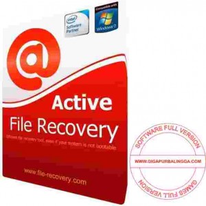 active file recovery full crack